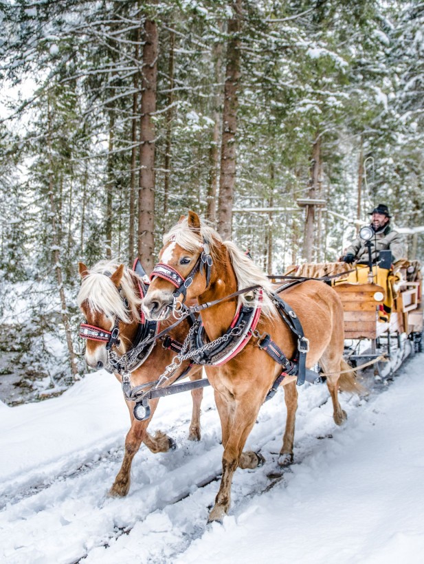 Romantisches Pferdeschlitten © Altenmarkt-Zauchensee Tourismus - Nadia Jabli Photography 