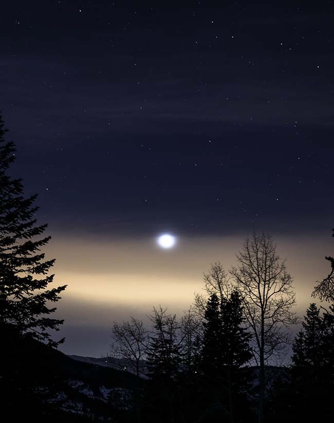 Die Natur bei Nacht © Unsplash