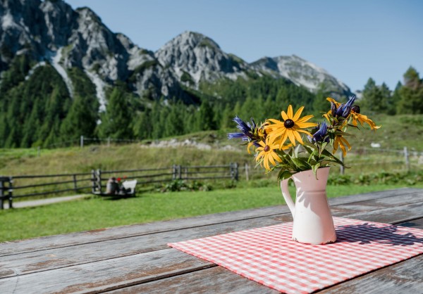 Die Berge in Österreich im Sommer © Altenmarkt-Zauchensee Tourismus - Matthias Fritzenwallner