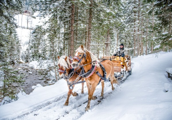 Pferdeschlitten © Altenmarkt-Zauchensee Tourismus - Nadia Jabli Photography