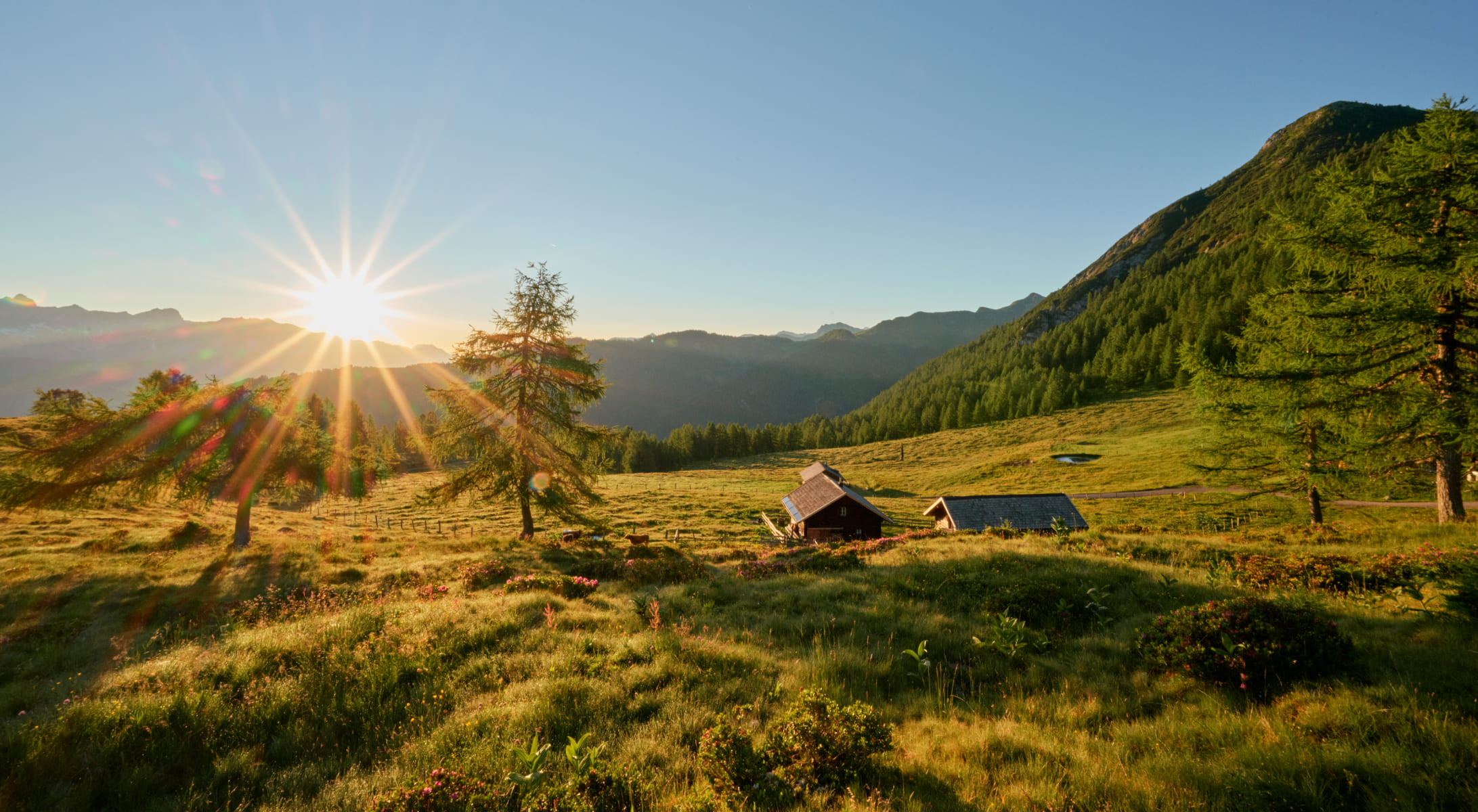 Sonnenuntergang auf der Alm © Matthias Fritzenwallner