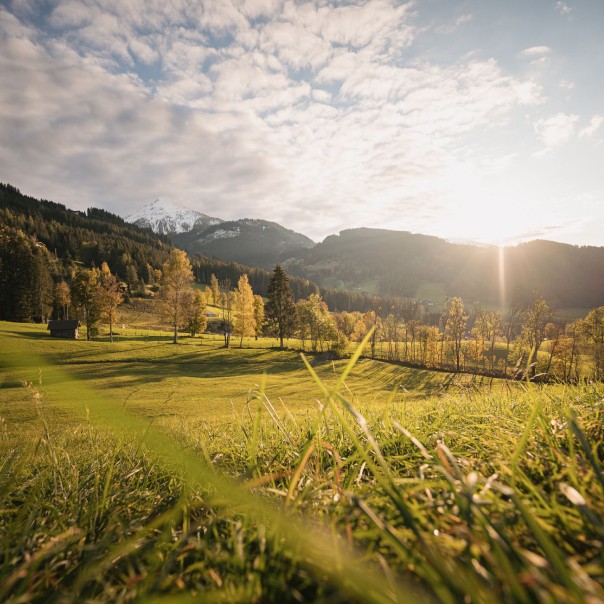 Landschaft im Herbst © Altenmarkt-Zauchensee Tourismus - Christian Schartner